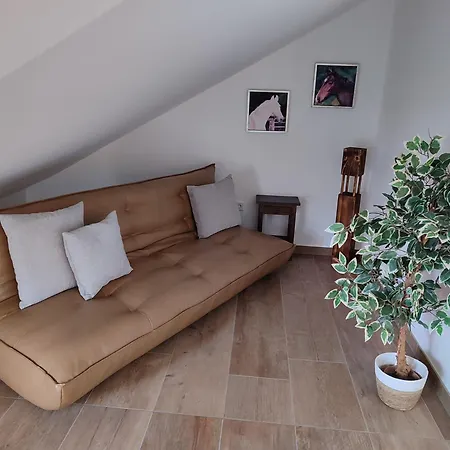 Apartament Seehof Reuter Metelen