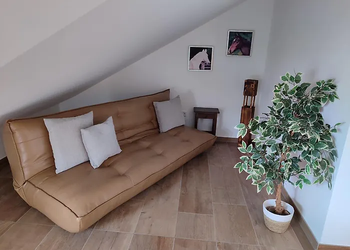 Apartament Seehof Reuter Metelen